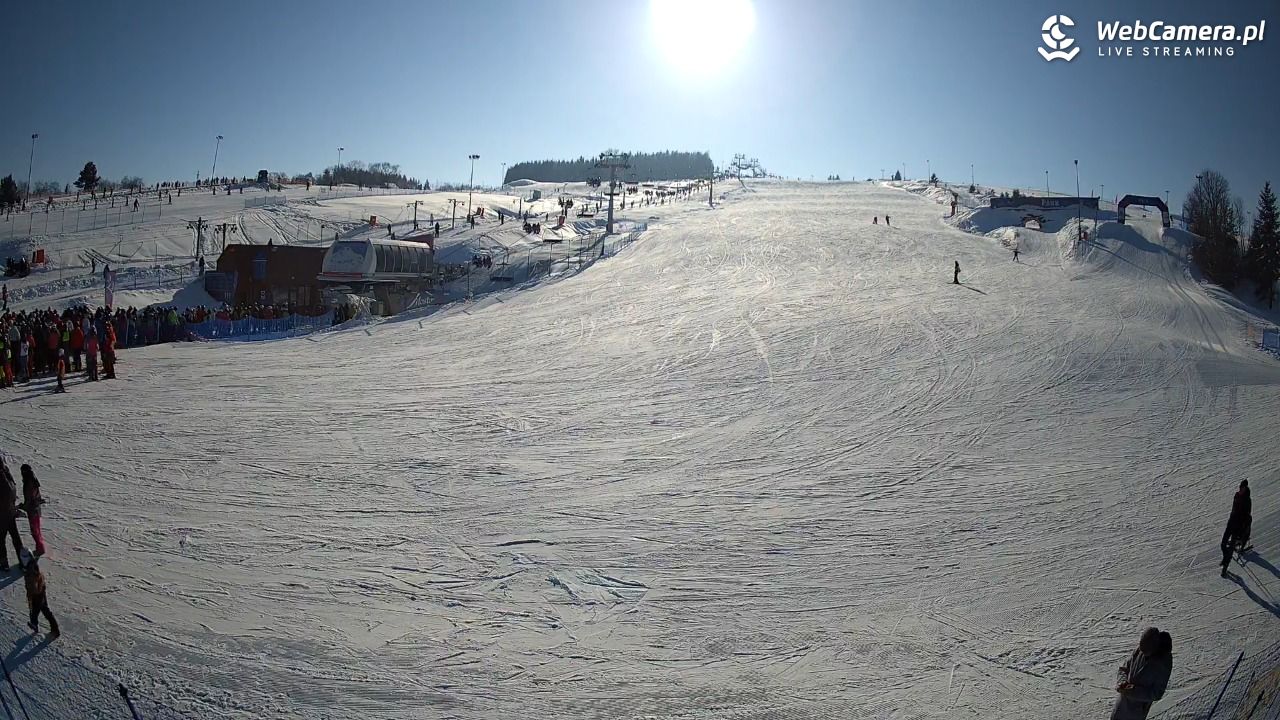 MASTER-ski Tylicz - 20 styczeń 2026, 11:23