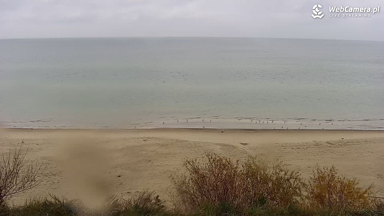 Międzywodzie - widok na plażę - 30 październik 2025, 09:42