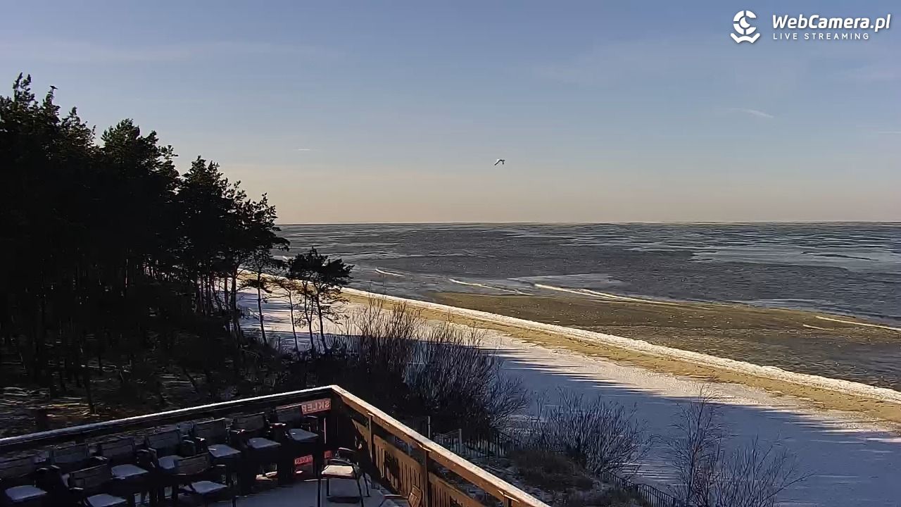 Międzywodzie - widok na plażę - 02 luty 2026, 12:35