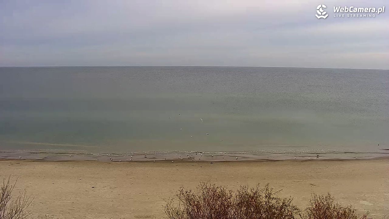 Międzywodzie - widok na plażę - 01 listopad 2025, 14:10