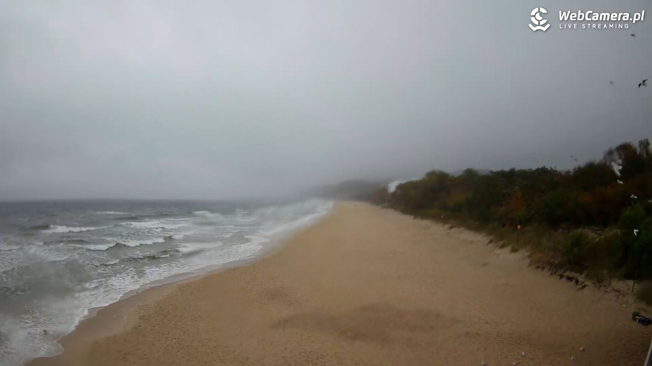 Międzyzdroje - widok na wschodnią stronę plaży - 17 październik 2026, 11:58