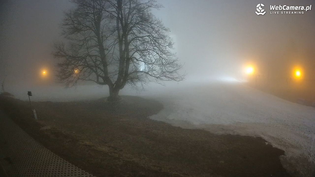 Zieleniec Sport Arena - Mieszko NOWOŚĆ - 15 marzec 2026, 20:07