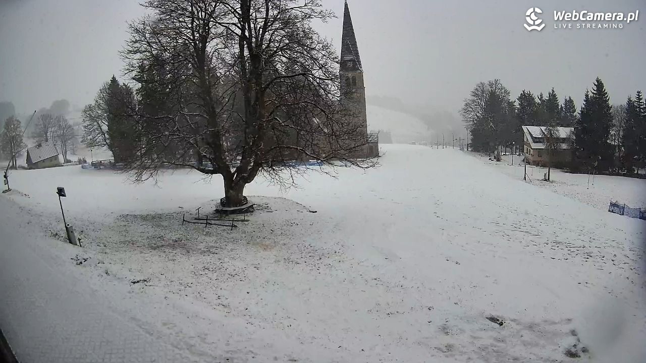 Zieleniec Sport Arena - Mieszko NOWOŚĆ - 16 marzec 2026, 09:25