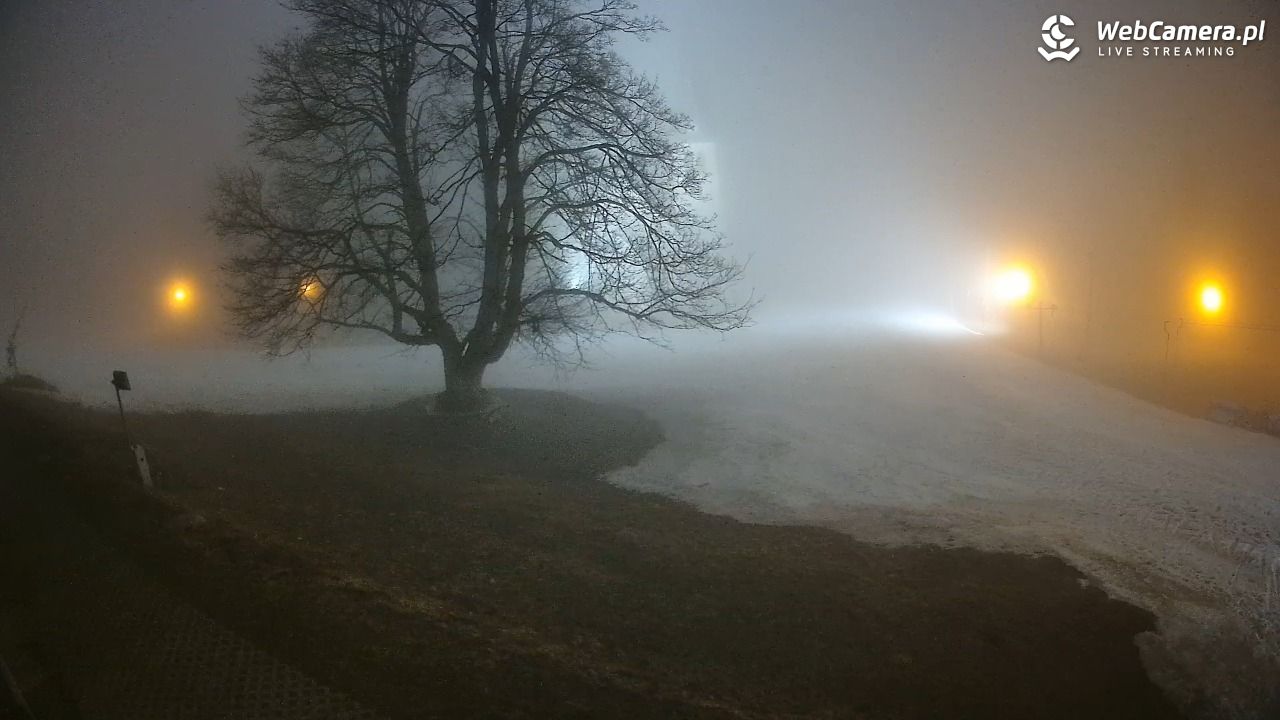 Zieleniec Sport Arena - Mieszko NOWOŚĆ - 15 marzec 2026, 22:29