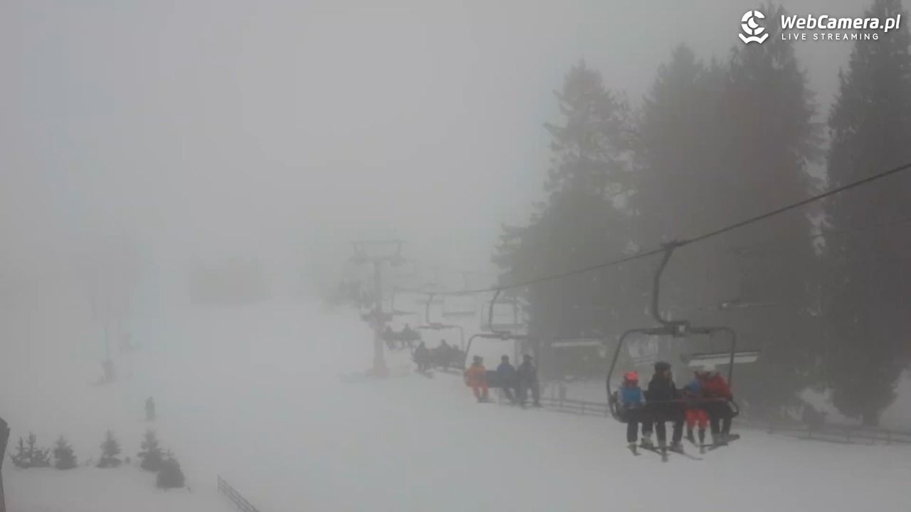 Zieleniec Sport Arena - Mieszko - 15 styczeń 2026, 13:00