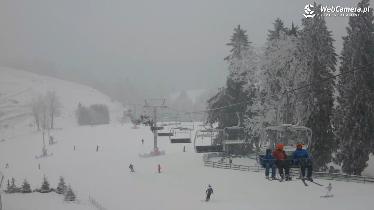 Zieleniec Sport Arena - Mieszko - 29 styczeń 2026, 16:18