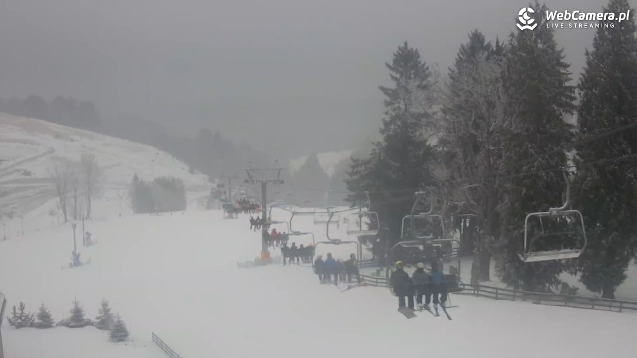 Zieleniec Sport Arena - Mieszko - 24 styczeń 2026, 12:28