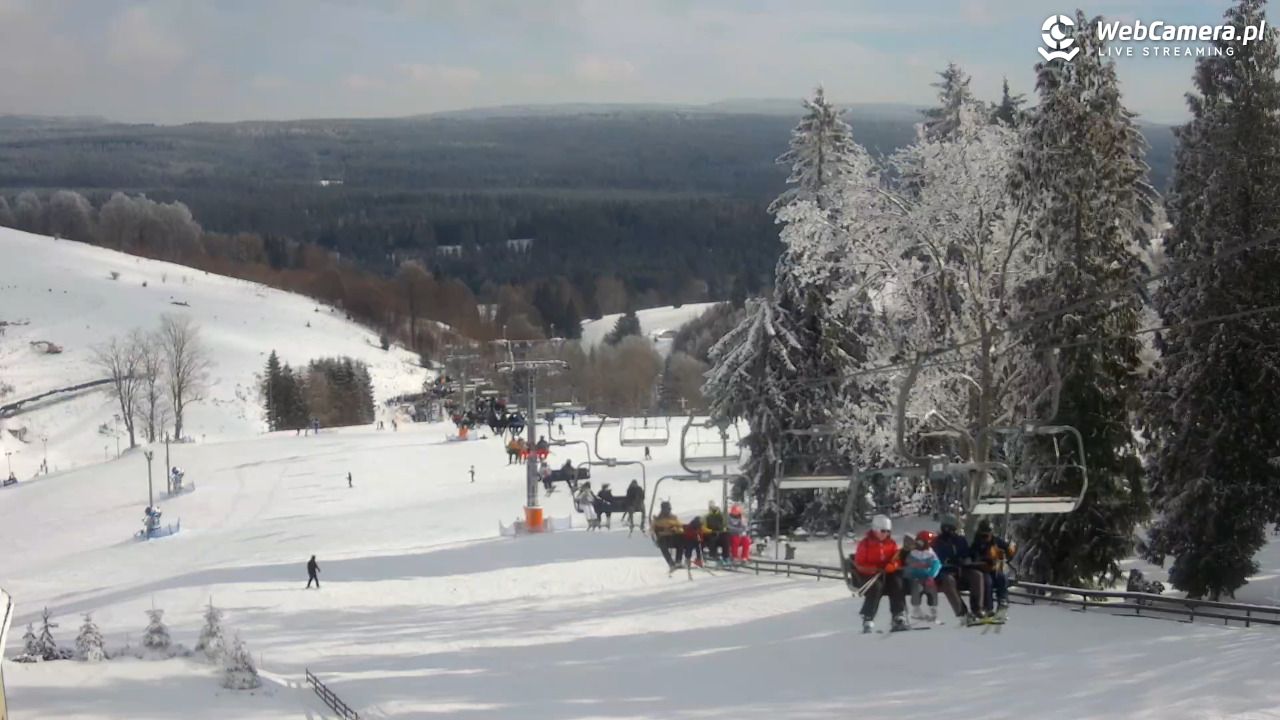 Zieleniec Sport Arena - Mieszko - 20 luty 2026, 11:00