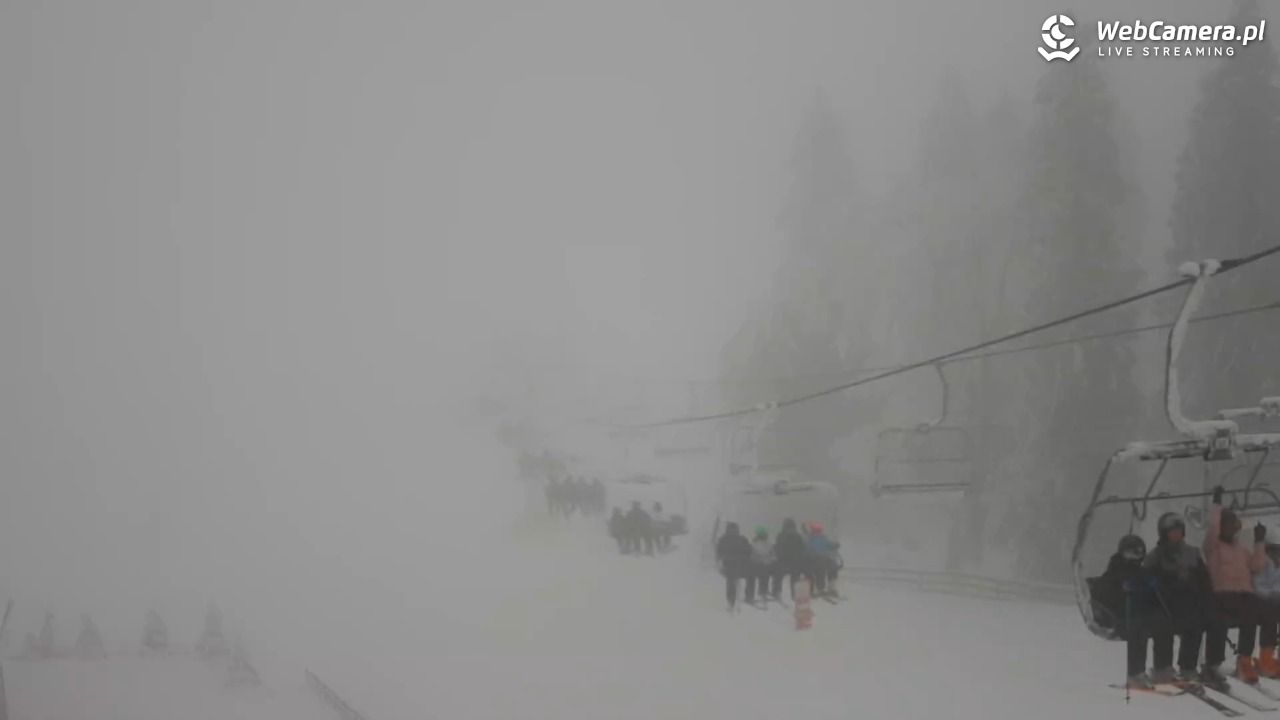 Zieleniec Sport Arena - Mieszko - 04 luty 2026, 11:08