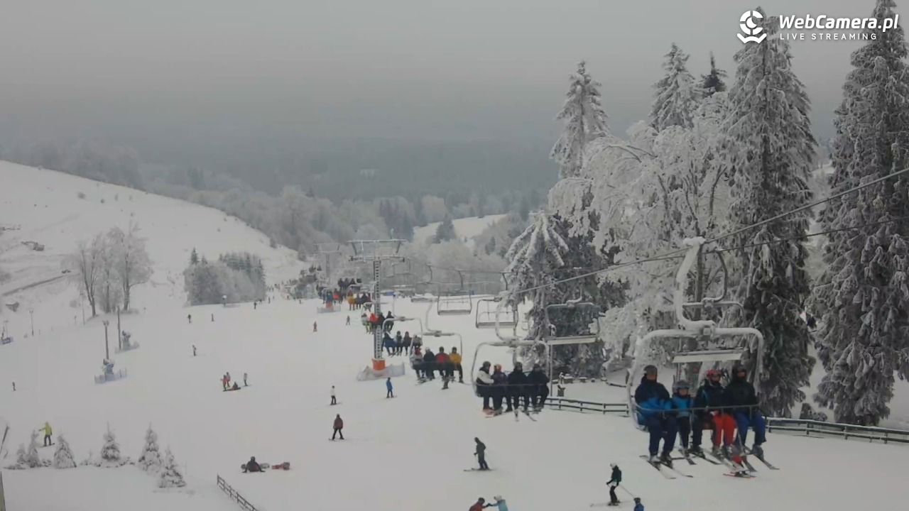 Zieleniec Sport Arena - Mieszko - 03 luty 2026, 12:11