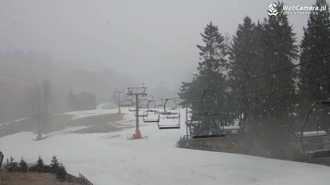 Zieleniec Sport Arena - Mieszko - 16 marzec 2026, 08:42