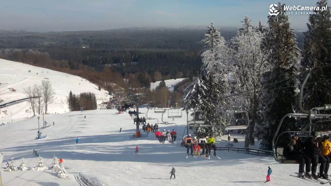 Zieleniec Sport Arena - Mieszko - 20 luty 2026, 13:10