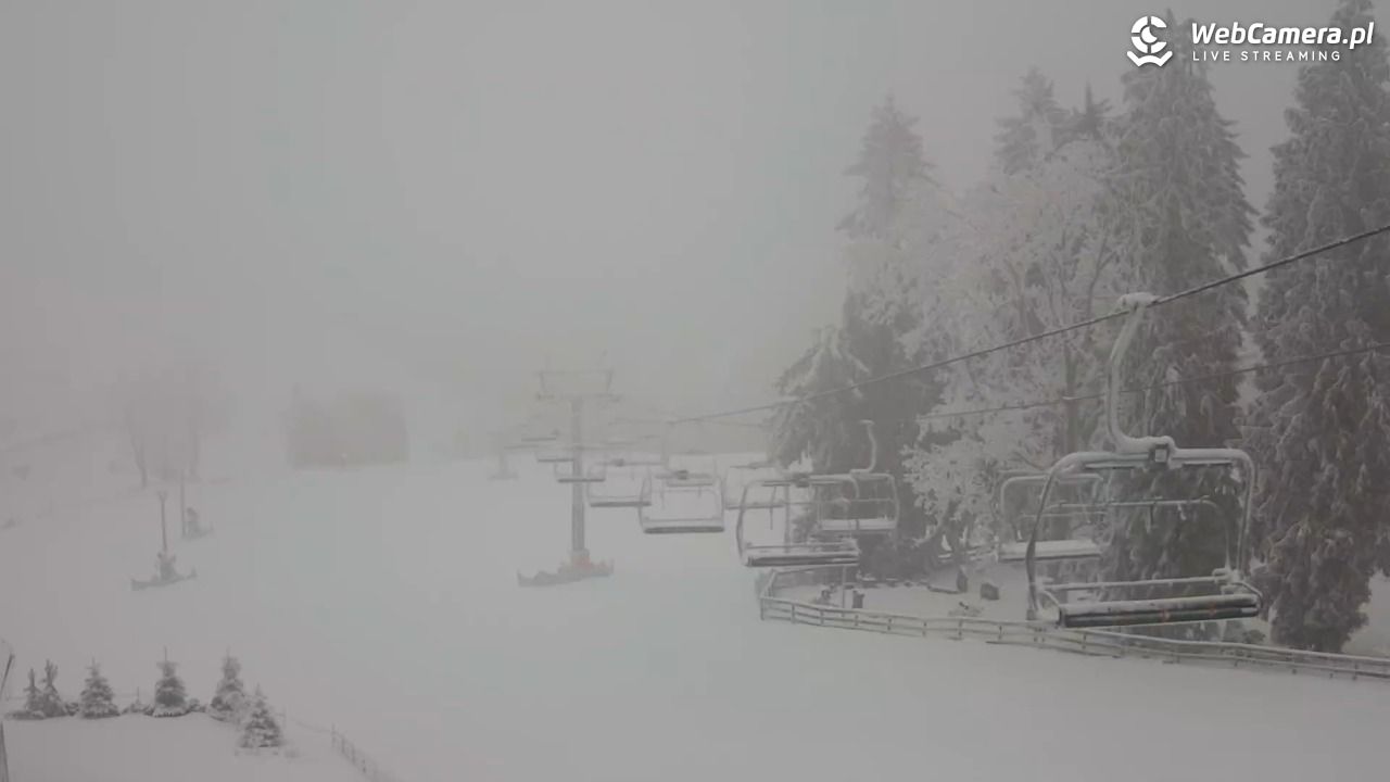 Zieleniec Sport Arena - Mieszko - 30 styczeń 2026, 08:34