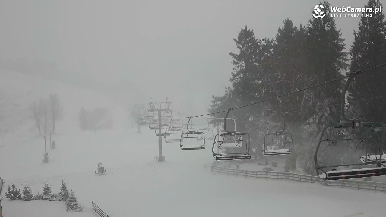 Zieleniec Sport Arena - Mieszko - 24 listopad 2025, 11:07