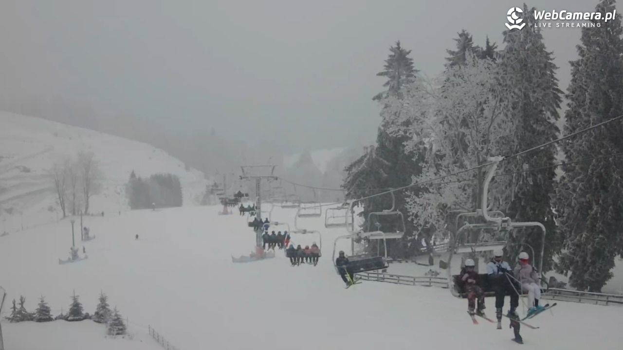 Zieleniec Sport Arena - Mieszko - 29 styczeń 2026, 16:16