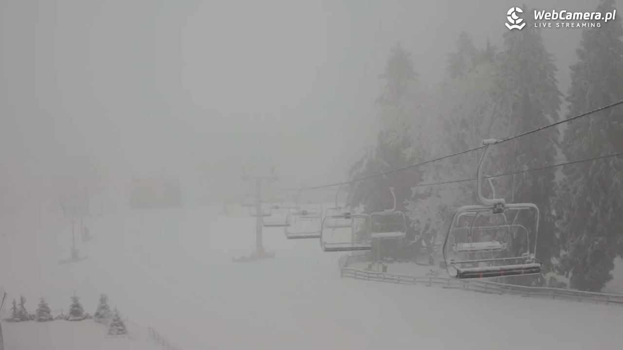Zieleniec Sport Arena - Mieszko - 30 styczeń 2026, 08:37