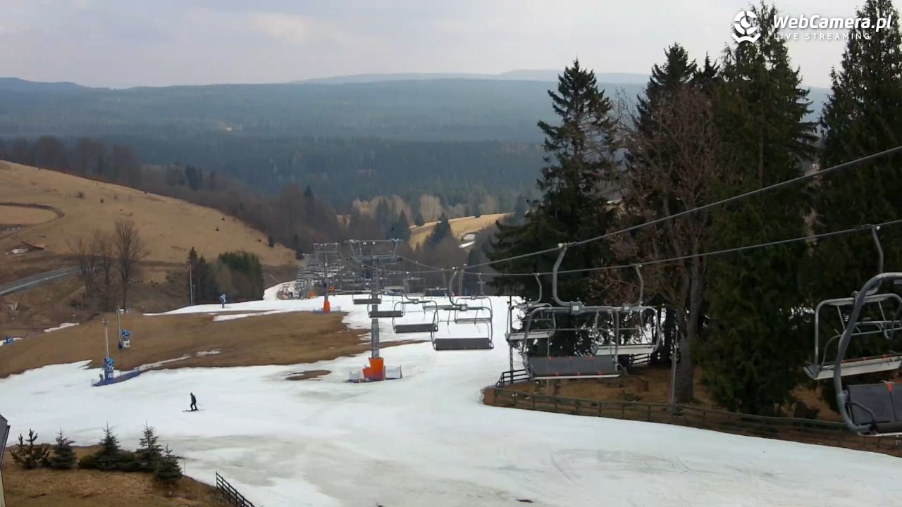 Zieleniec Sport Arena - Mieszko - 21 marzec 2026, 12:00