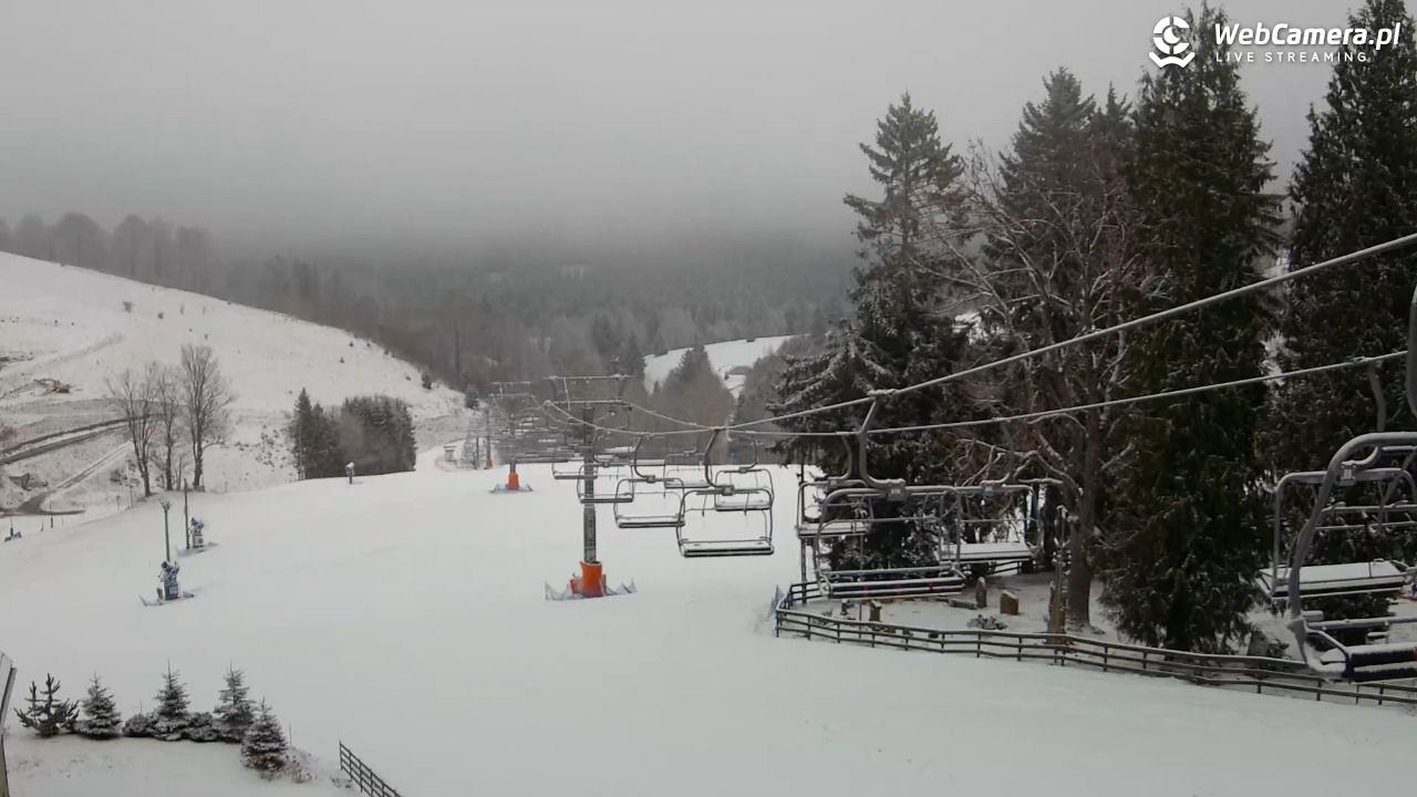 Zieleniec Sport Arena - Mieszko - 17 marzec 2026, 07:08