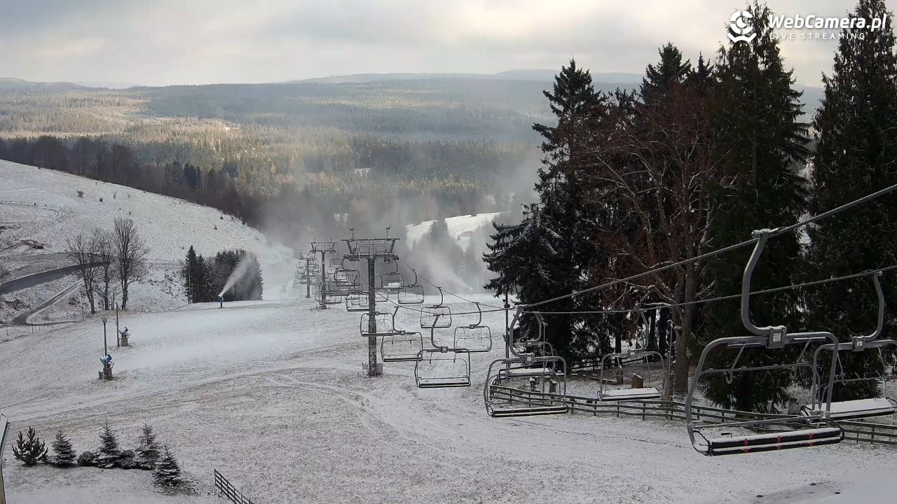 Zieleniec Sport Arena - Mieszko - 18 listopad 2025, 12:14