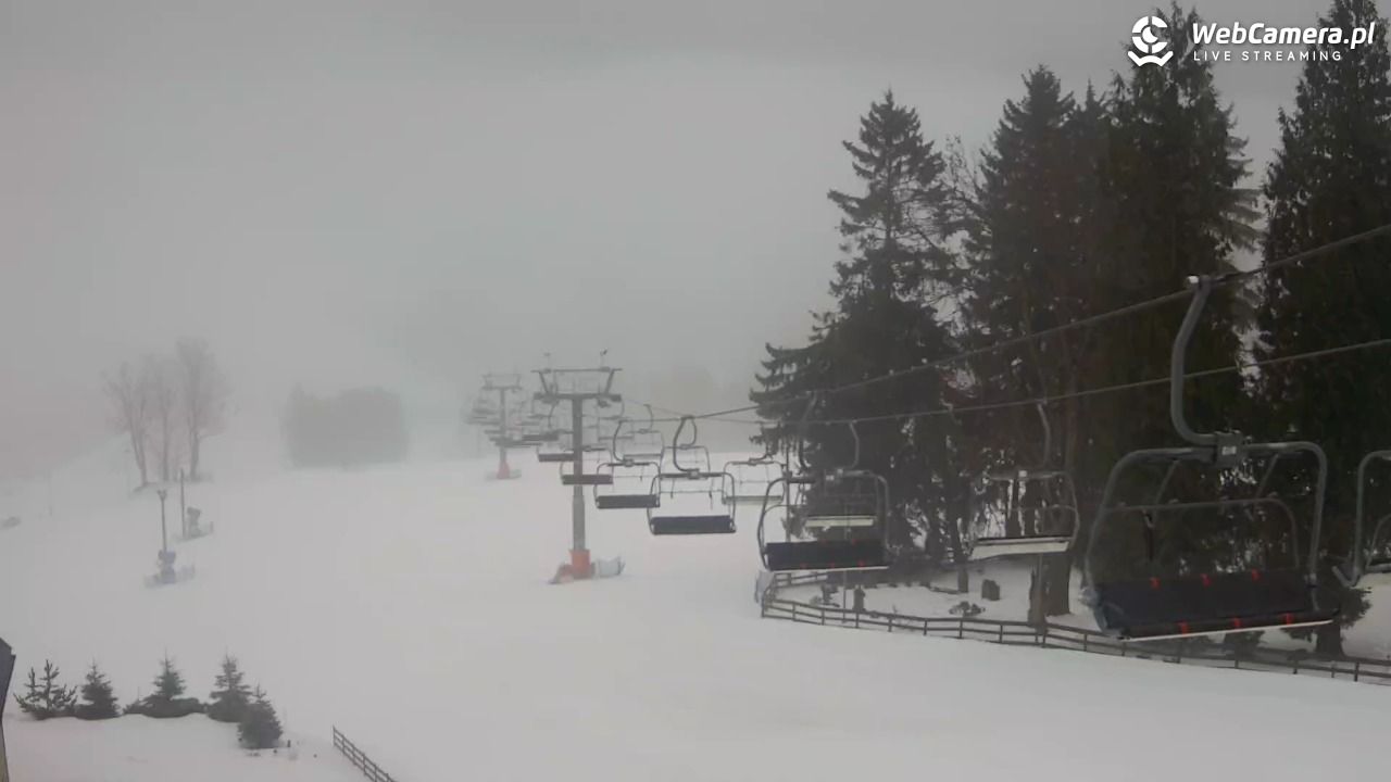 Zieleniec Sport Arena - Mieszko - 07 luty 2026, 08:35