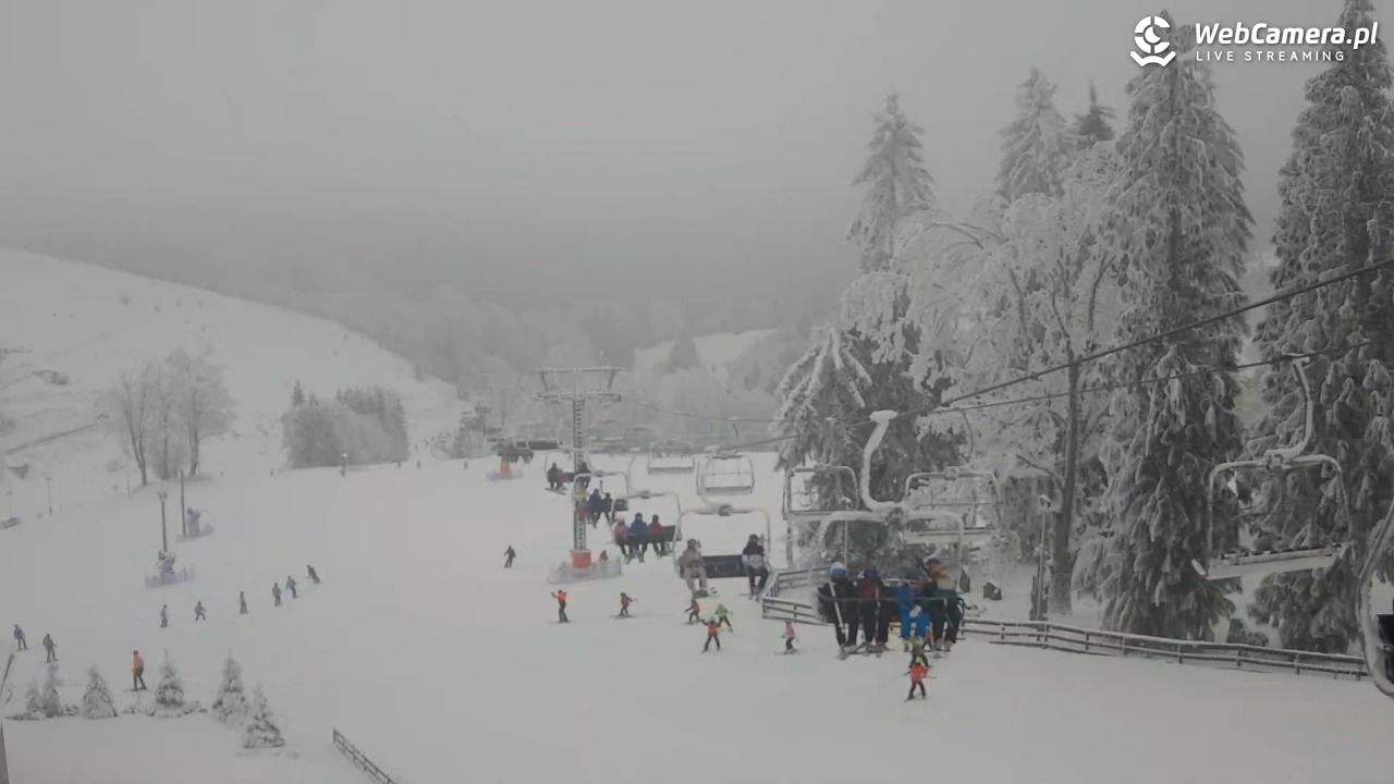 Zieleniec Sport Arena - Mieszko - 03 luty 2026, 10:00