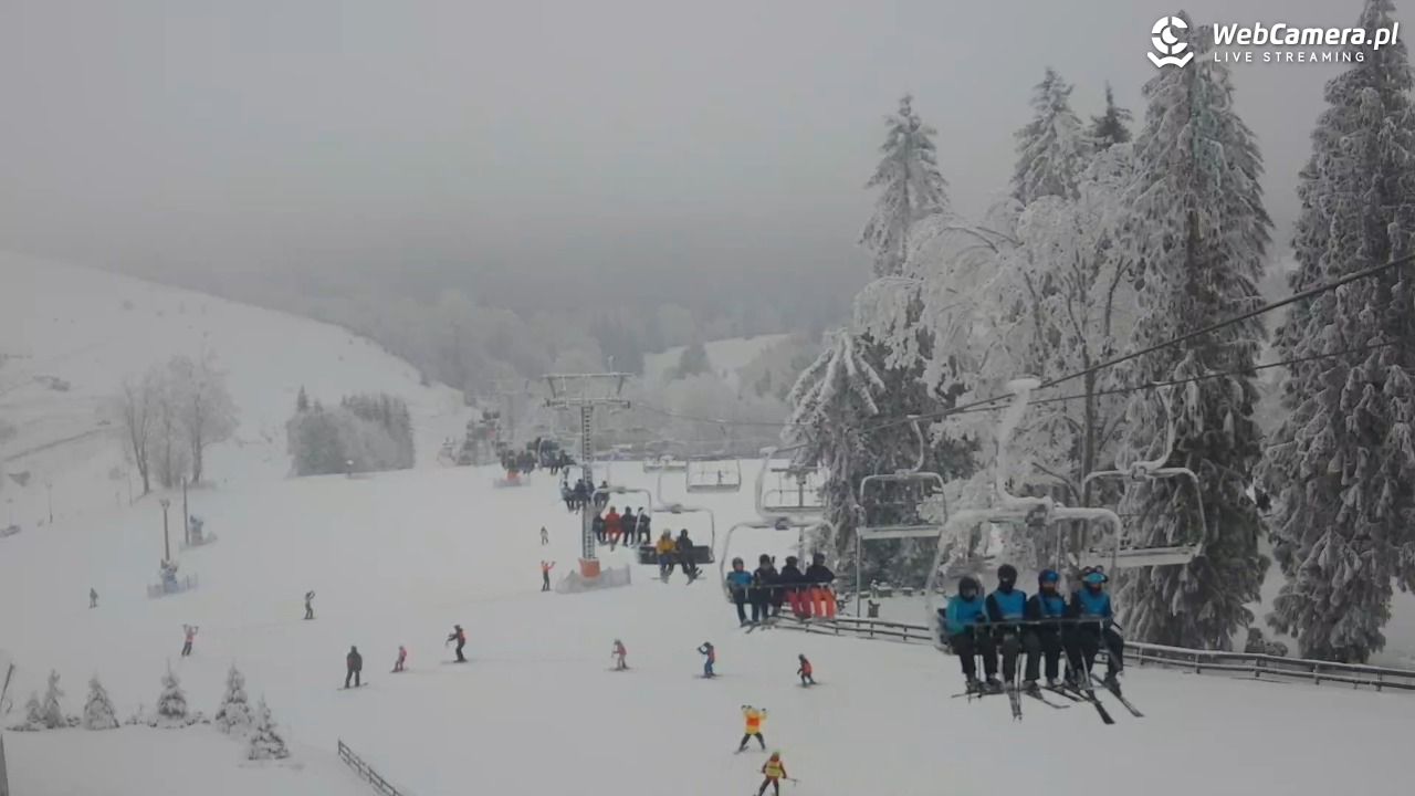 Zieleniec Sport Arena - Mieszko - 03 luty 2026, 09:51