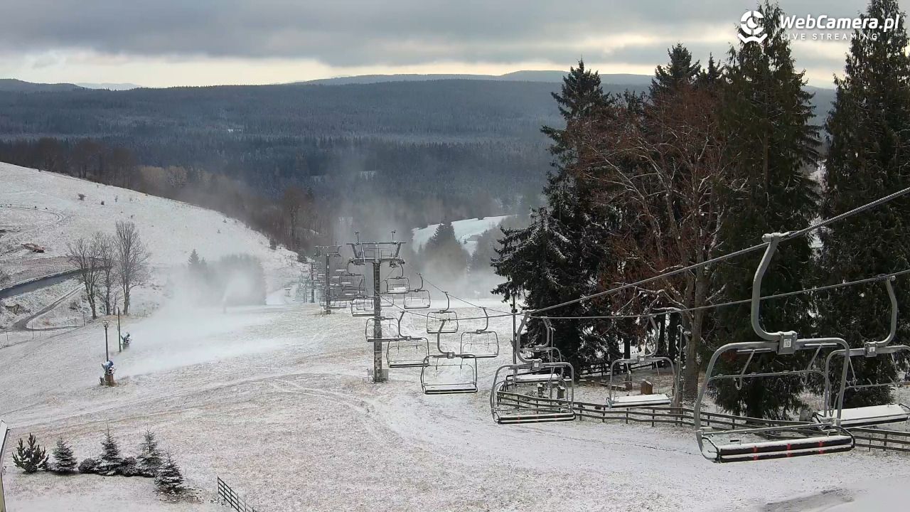 Zieleniec Sport Arena - Mieszko - 18 listopad 2025, 08:59
