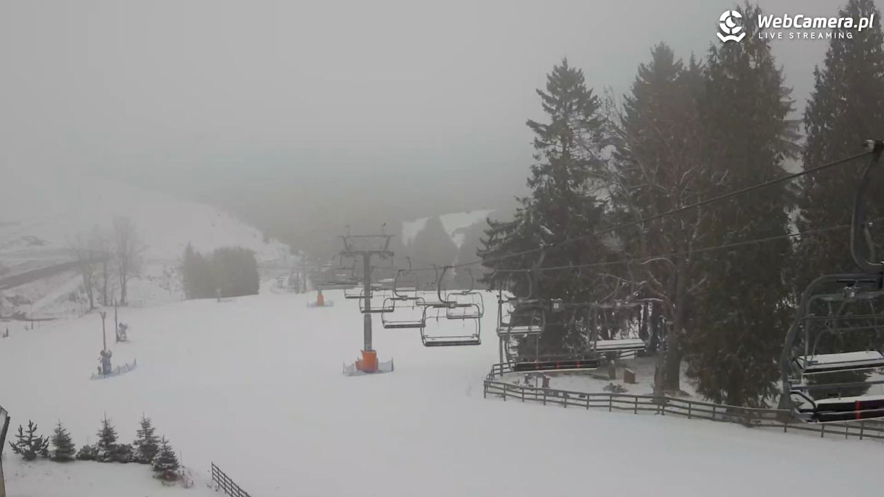 Zieleniec Sport Arena - Mieszko - 30 marzec 2026, 11:53