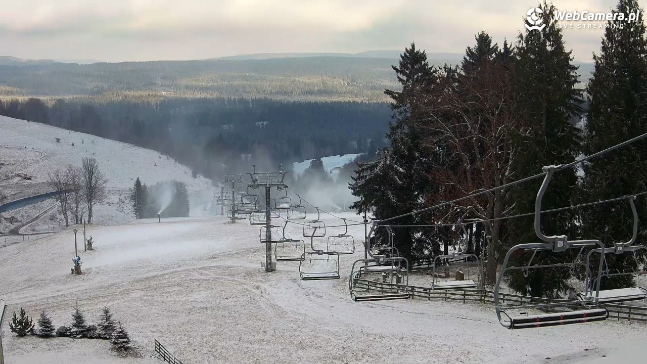 Zieleniec Sport Arena - Mieszko - 18 listopad 2025, 12:22