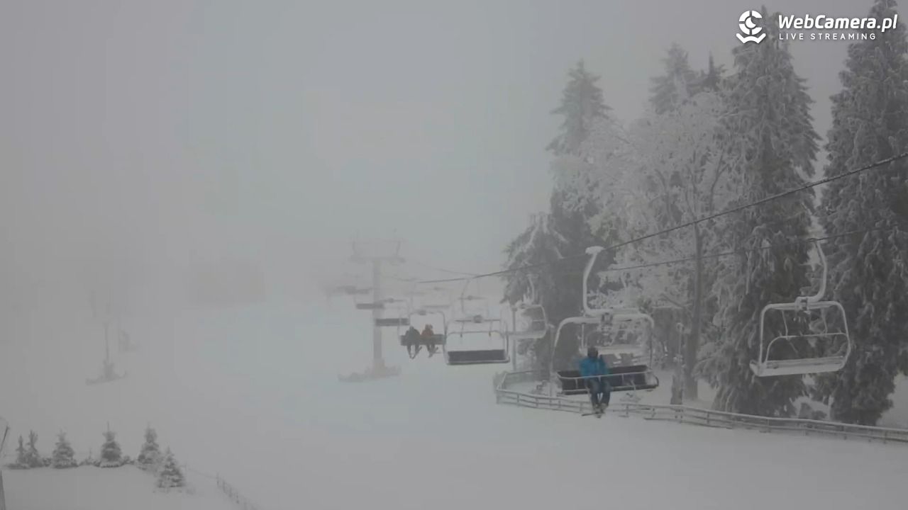 Zieleniec Sport Arena - Mieszko - 30 styczeń 2026, 09:27