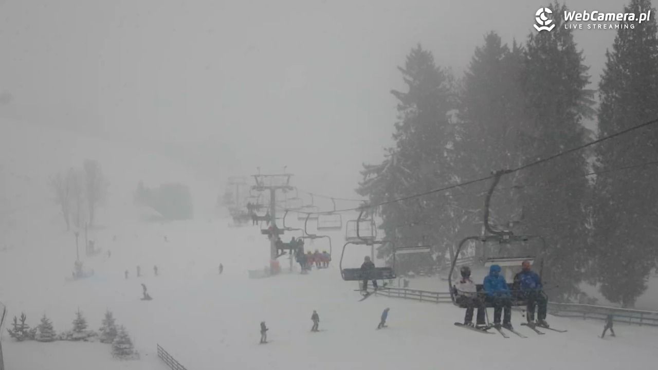 Zieleniec Sport Arena - Mieszko - 31 grudzień 2025, 14:28