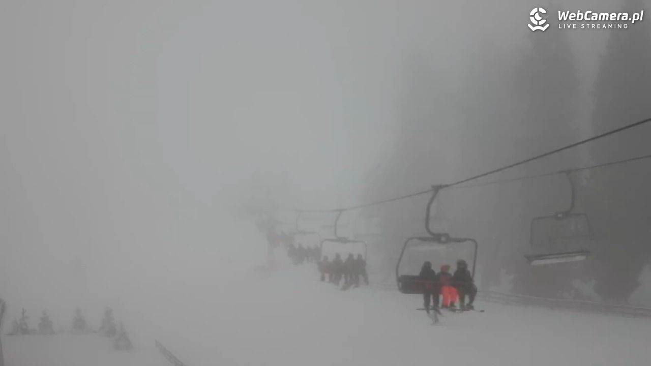 Zieleniec Sport Arena - Mieszko - 21 luty 2026, 15:26