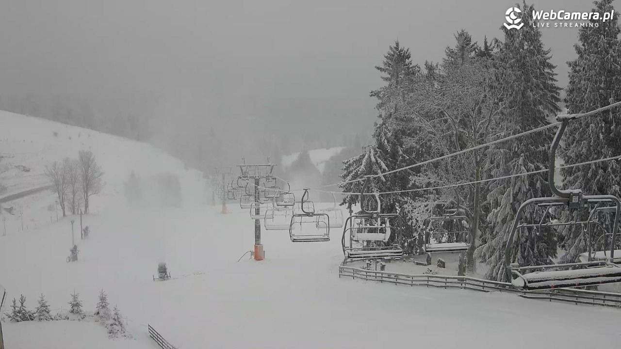 Zieleniec Sport Arena - Mieszko - 26 listopad 2025, 13:53