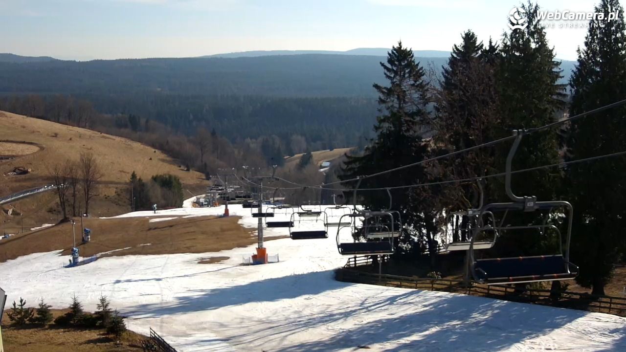 Zieleniec Sport Arena - Mieszko - 22 marzec 2026, 09:04