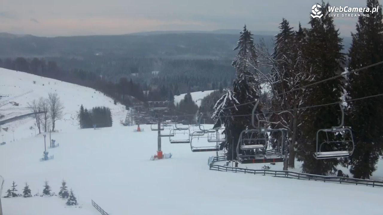 Zieleniec Sport Arena - Mieszko - 05 luty 2026, 07:28