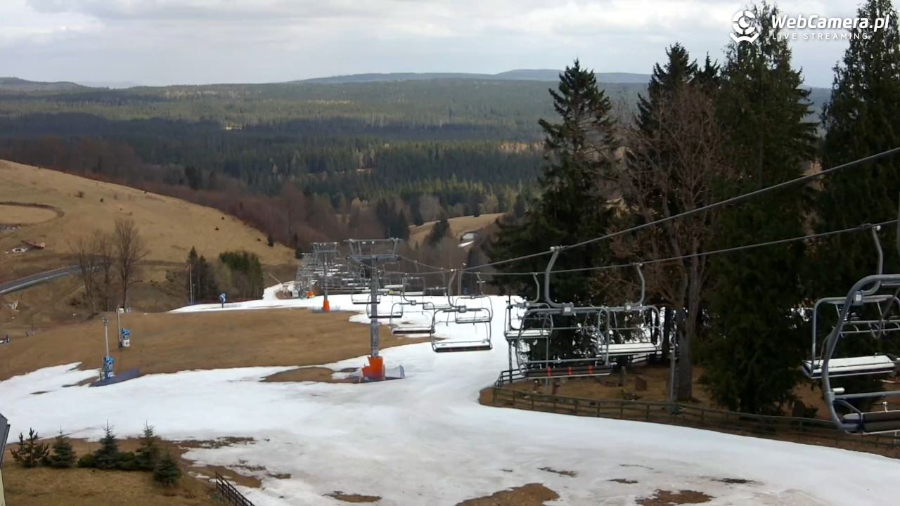 Zieleniec Sport Arena - Mieszko - 27 marzec 2026, 12:38