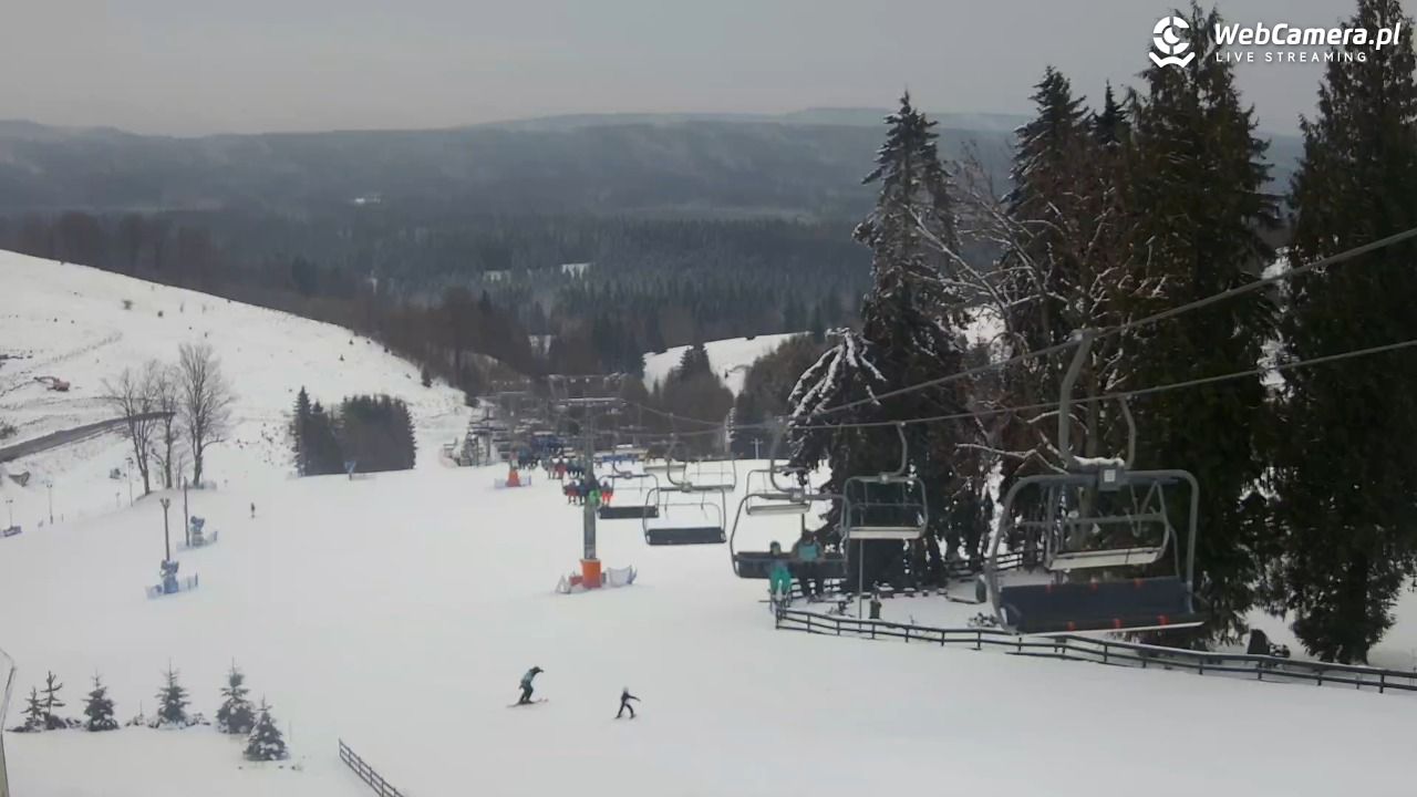 Zieleniec Sport Arena - Mieszko - 05 luty 2026, 09:20