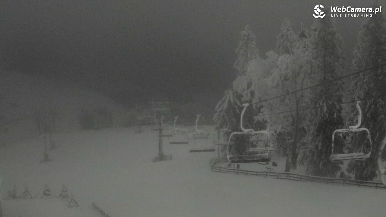 Zieleniec Sport Arena - Mieszko - 04 luty 2026, 00:23