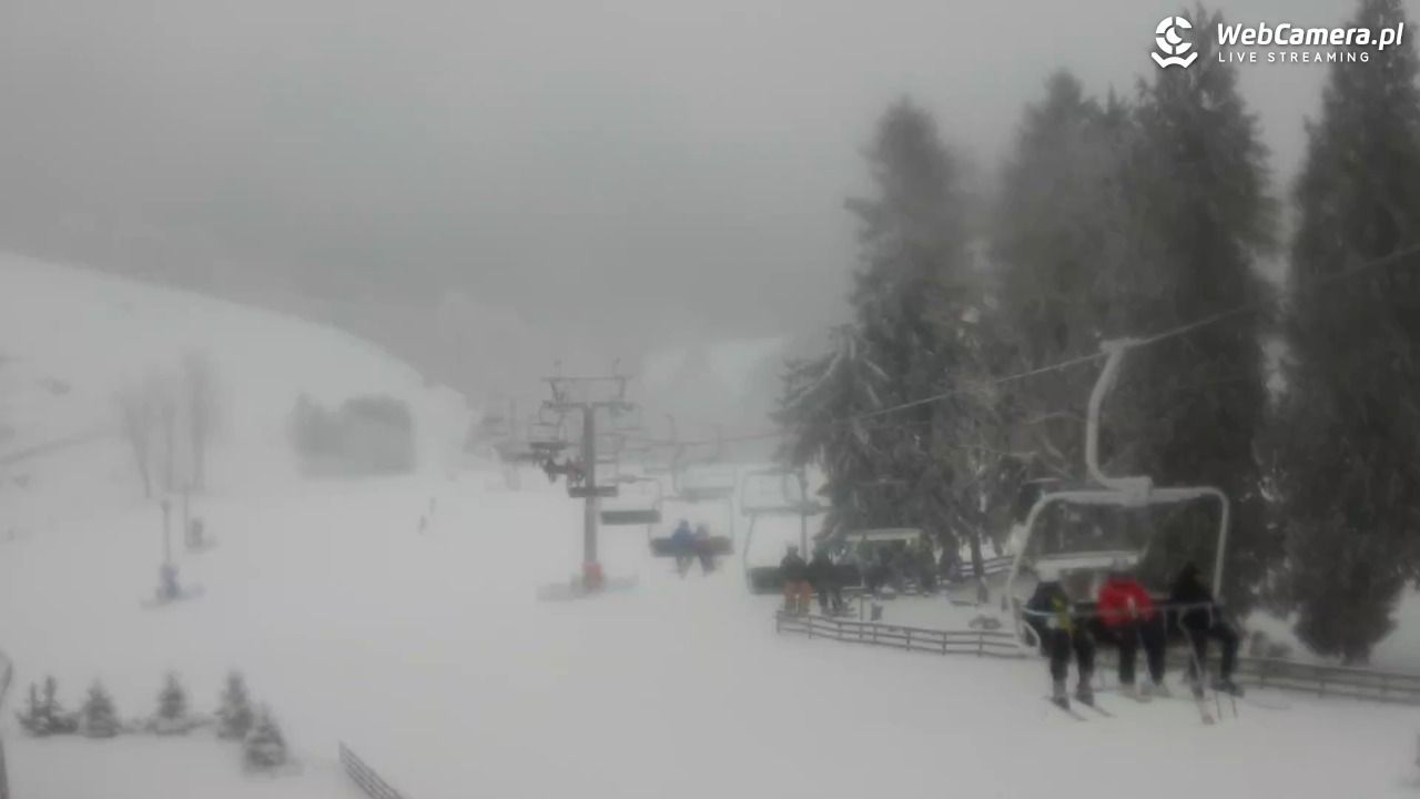 Zieleniec Sport Arena - Mieszko - 01 styczeń 2026, 10:41