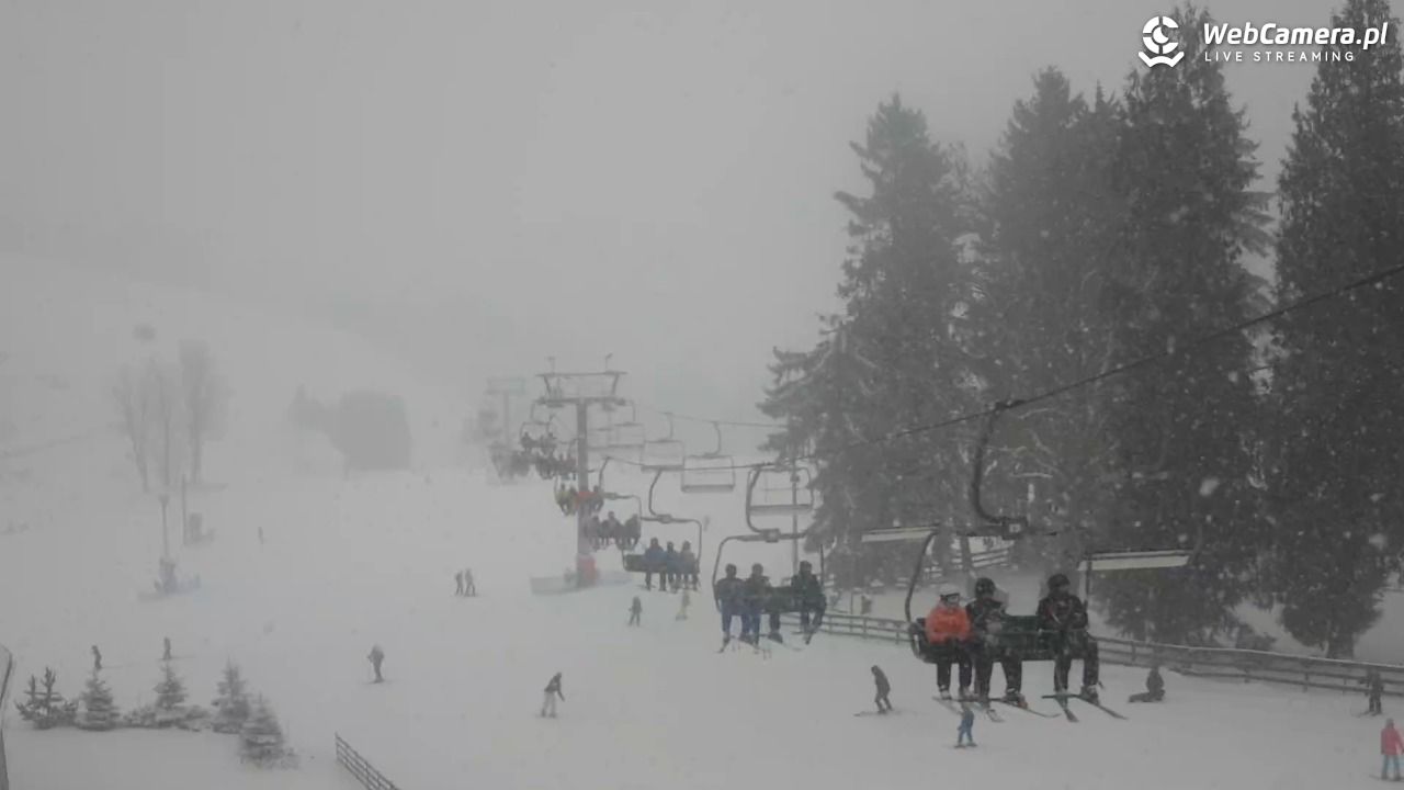Zieleniec Sport Arena - Mieszko - 31 grudzień 2025, 13:23