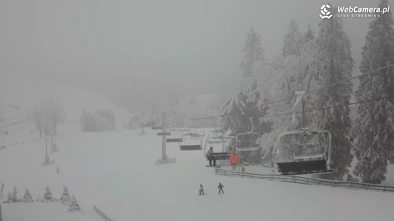 Zieleniec Sport Arena - Mieszko - 03 luty 2026, 09:22