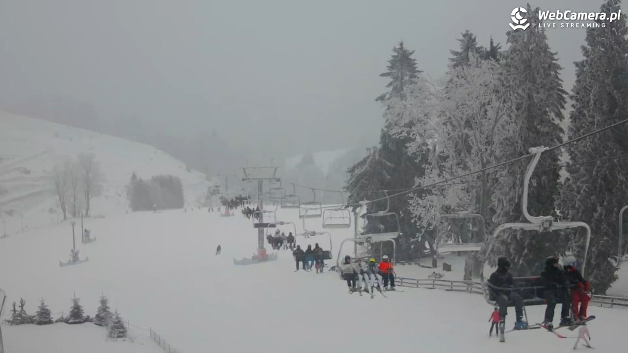 Zieleniec Sport Arena - Mieszko - 29 styczeń 2026, 16:24