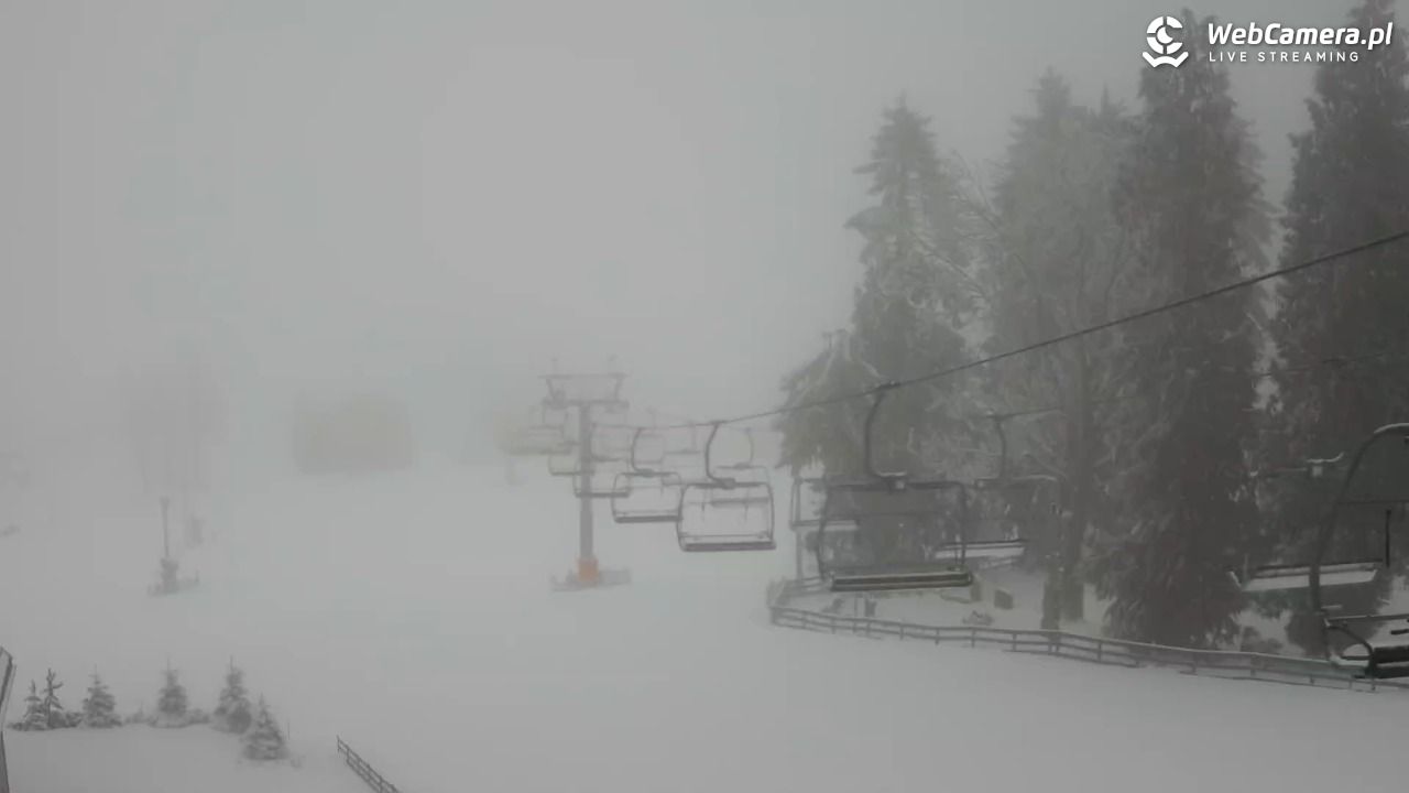 Zieleniec Sport Arena - Mieszko - 18 luty 2026, 08:09