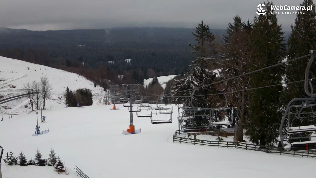 Zieleniec Sport Arena - Mieszko - 29 marzec 2026, 14:46