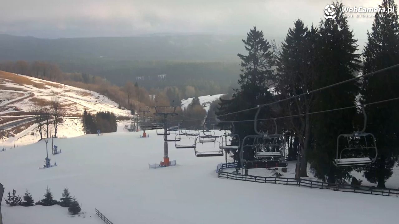 Zieleniec Sport Arena - Mieszko - 26 styczeń 2026, 08:37