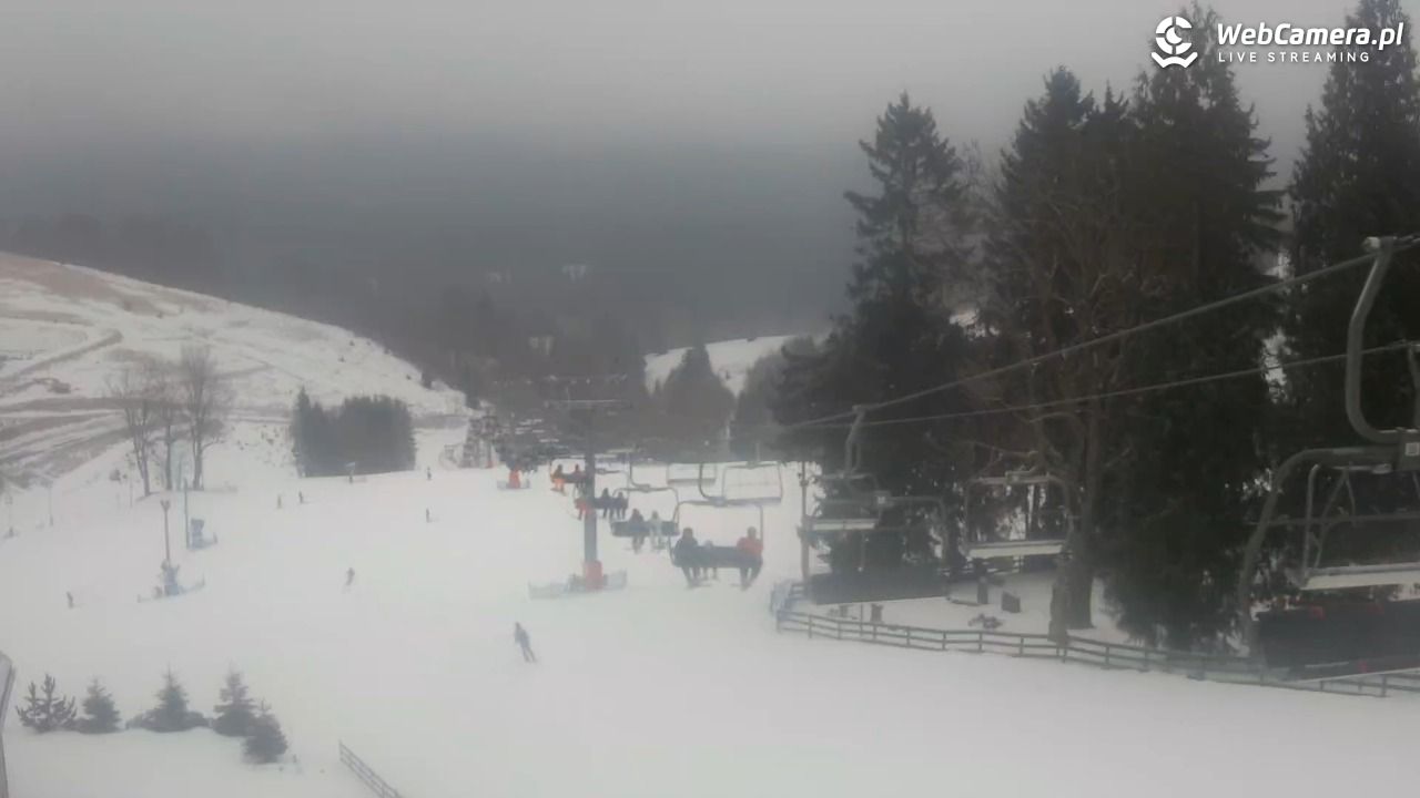 Zieleniec Sport Arena - Mieszko - 23 styczeń 2026, 10:00