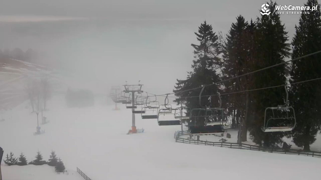 Zieleniec Sport Arena - Mieszko - 07 luty 2026, 09:02