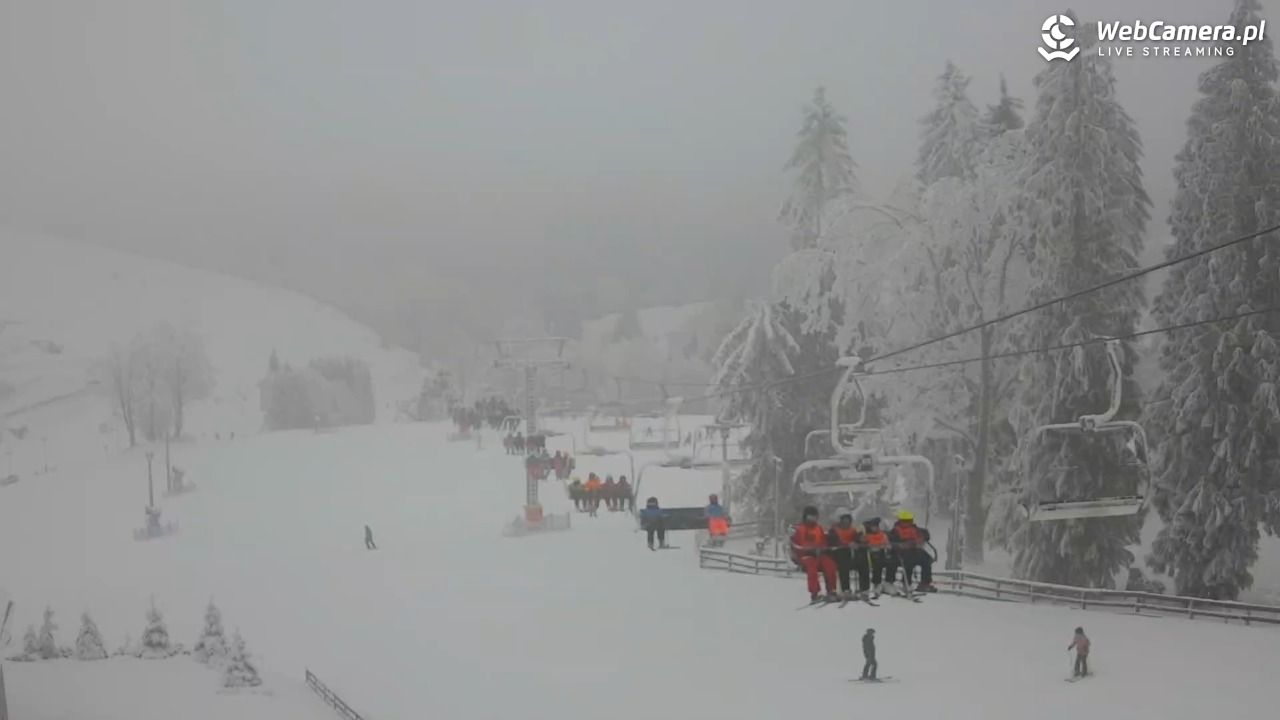 Zieleniec Sport Arena - Mieszko - 03 luty 2026, 10:07