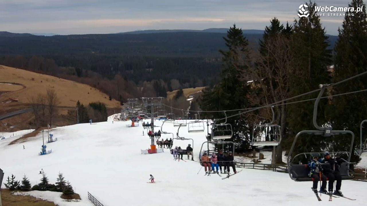 Zieleniec Sport Arena - Mieszko - 01 marzec 2026, 13:19