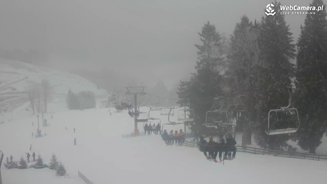 Zieleniec Sport Arena - Mieszko - 24 styczeń 2026, 12:55